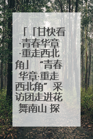 「甘快看·青春华章·重走西北角」“青春华章·重走西北角”采访团走进花舞南山 探寻天水乡村振兴之路