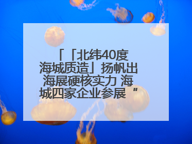 「北纬40度 海城质造」扬帆出海展硬核实力 海城四家企业参展“中东欧”展览会