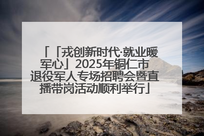 「戎创新时代·就业暖军心」2025年铜仁市退役军人专场招聘会暨直播带岗活动顺利举行