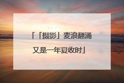 「摄影」麦浪翻涌 又是一年夏收时