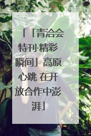 「青洽会特刊·精彩瞬间」高原心跳 在开放合作中澎湃