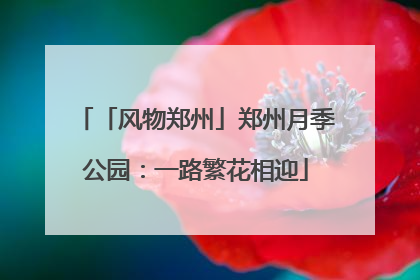 「风物郑州」郑州月季公园：一路繁花相迎