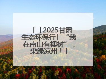 「2025甘肃生态环保行」“我在南山有棵树”，染绿凉州！