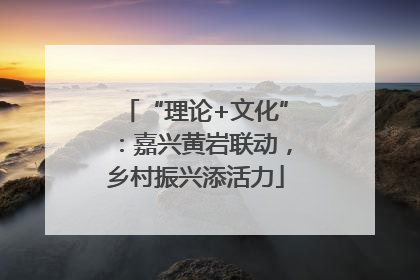 “理论+文化”：嘉兴黄岩联动，乡村振兴添活力