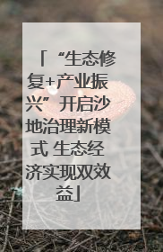 “生态修复+产业振兴”开启沙地治理新模式 生态经济实现双效益