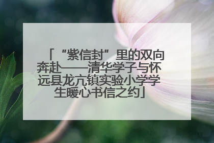“紫信封”里的双向奔赴——清华学子与怀远县龙亢镇实验小学学生暖心书信之约