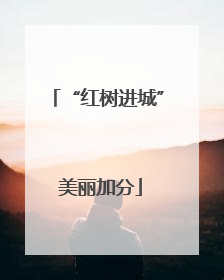 “红树进城” 美丽加分