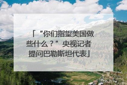 “你们指望美国做些什么？”央视记者提问巴勒斯坦代表