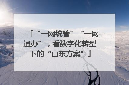 “一网统管”“一网通办”，看数字化转型下的“山东方案”