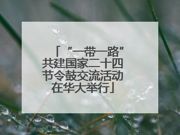 “一带一路”共建国家二十四节令鼓交流活动在华大举行
