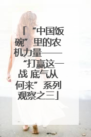 “中国饭碗”里的农机力量——“打赢这一战 底气从何来”系列观察之三