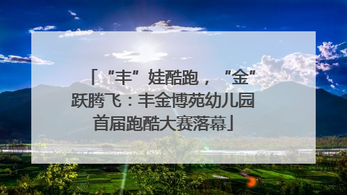“丰”娃酷跑，“金”跃腾飞：丰金博苑幼儿园首届跑酷大赛落幕