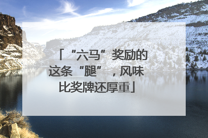 “六马”奖励的这条“腿”，风味比奖牌还厚重