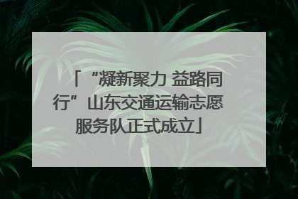 “凝新聚力 益路同行”山东交通运输志愿服务队正式成立
