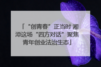 “创青春”正当时 湘潭这场“四方对话”聚焦青年创业法治生态