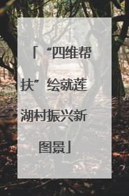 “四维帮扶”绘就莲湖村振兴新图景