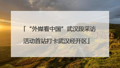 “外媒看中国”武汉段采访活动首站打卡武汉经开区