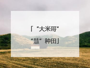 “大米哥”“慧”种田
