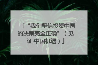 “我们坚信投资中国的决策完全正确”（见证·中国机遇）