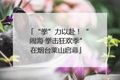 “拳”力以赴！“闹海·拳击狂欢季”在烟台莱山启幕