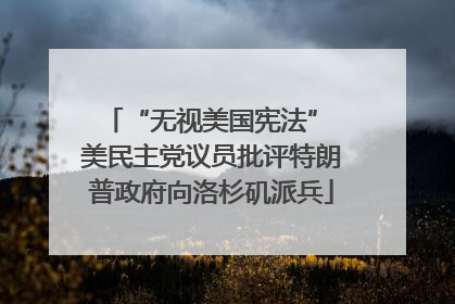 “无视美国宪法” 美民主党议员批评特朗普政府向洛杉矶派兵