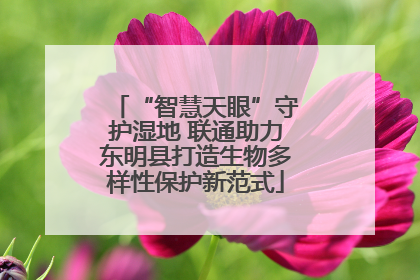 “智慧天眼”守护湿地 联通助力东明县打造生物多样性保护新范式