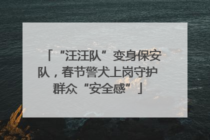 “汪汪队”变身保安队，春节警犬上岗守护群众“安全感”