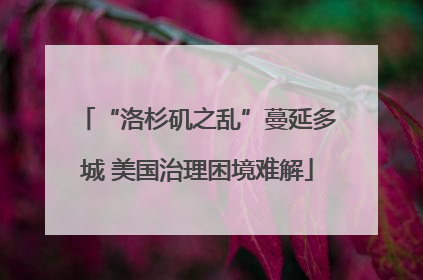 “洛杉矶之乱”蔓延多城 美国治理困境难解