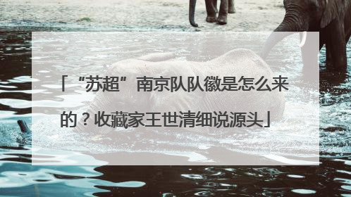 “苏超”南京队队徽是怎么来的？收藏家王世清细说源头