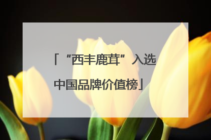 “西丰鹿茸”入选中国品牌价值榜