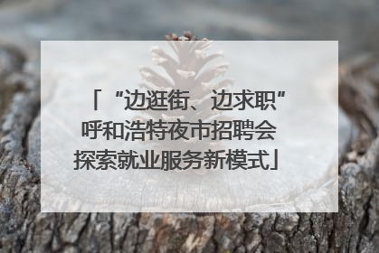 “边逛街、边求职” 呼和浩特夜市招聘会探索就业服务新模式