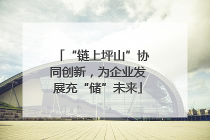 “链上坪山”协同创新，为企业发展充“储”未来