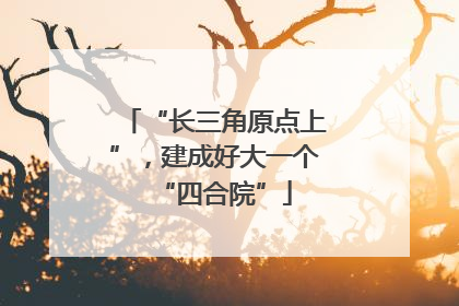 “长三角原点上”，建成好大一个“四合院”
