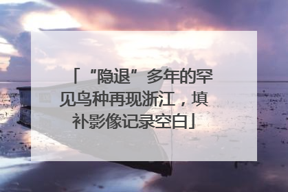 “隐退”多年的罕见鸟种再现浙江，填补影像记录空白