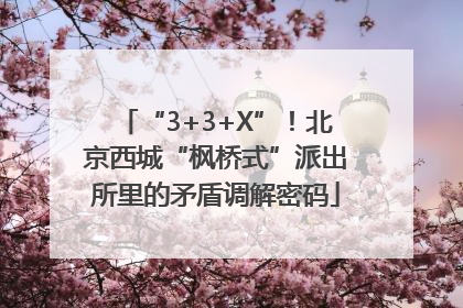 “3+3+X”！北京西城“枫桥式”派出所里的矛盾调解密码