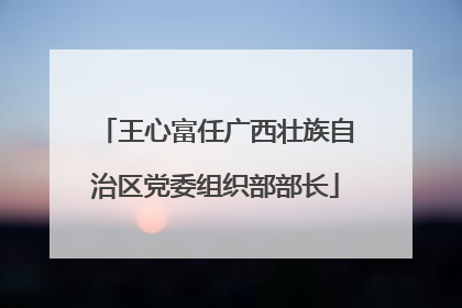 王心富任广西壮族自治区党委组织部部长