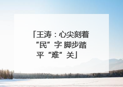 王涛：心尖刻着“民”字 脚步踏平“难”关
