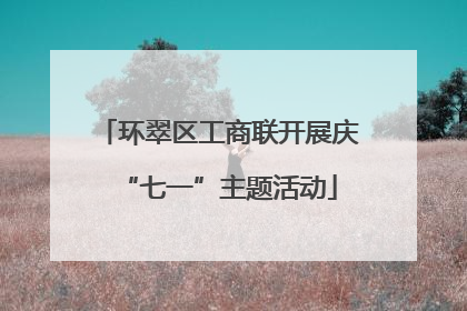 环翠区工商联开展庆“七一”主题活动
