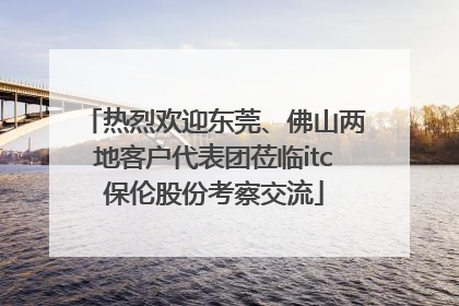 热烈欢迎东莞、佛山两地客户代表团莅临itc保伦股份考察交流