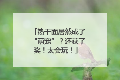 热干面居然成了“萌宠”？还获了奖！太会玩！