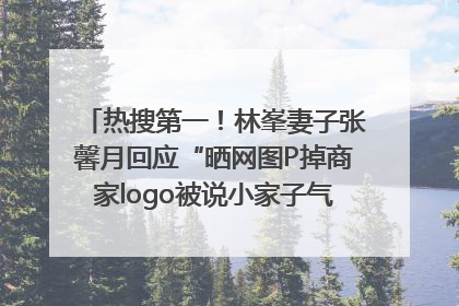 热搜第一！林峯妻子张馨月回应“晒网图P掉商家logo被说小家子气”：没那么多想法，可能有人恶意解读