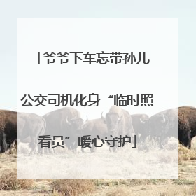 爷爷下车忘带孙儿 公交司机化身“临时照看员”暖心守护