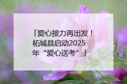 爱心接力再出发！柘城县启动2025年“爱心送考”