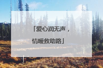 爱心润无声，情暖救助路