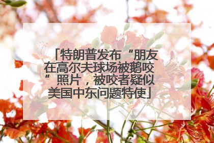 特朗普发布“朋友在高尔夫球场被鹅咬”照片，被咬者疑似美国中东问题特使