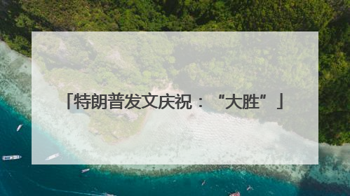 特朗普发文庆祝：“大胜”