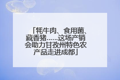 牦牛肉、食用菌、藏香猪……这场产销会助力甘孜州特色农产品走进成都