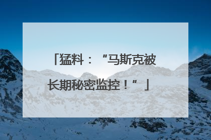 猛料：“马斯克被长期秘密监控！”