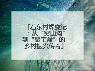 石东村蝶变记：从“穷山沟”到“聚宝盆”的乡村振兴传奇