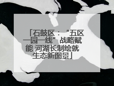 石鼓区：“五区一园一线”战略赋能 河湖长制绘就生态新图景